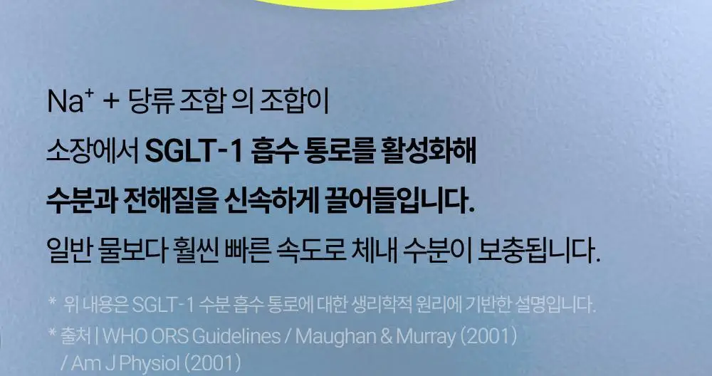 [수분 보충] 베가베리 이온 플러스 상세페이지 12